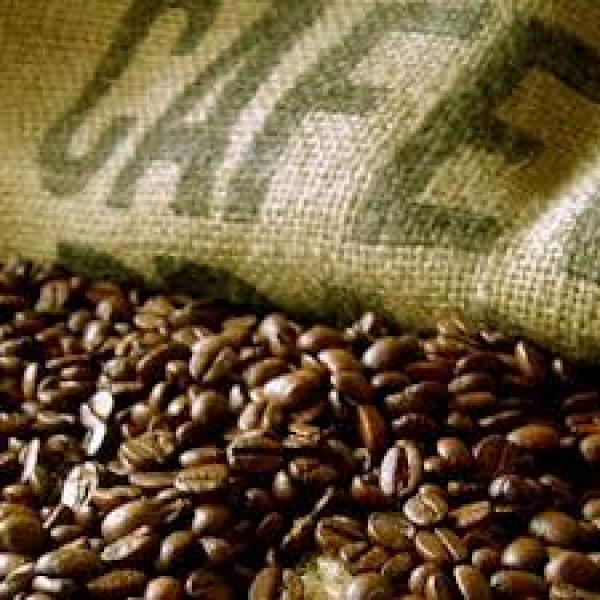 IBGE prevê safra de café recorde em 2012