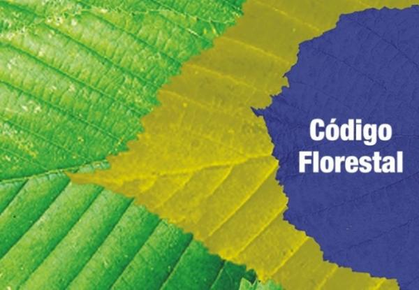 Código Florestal é aprovado e consolida áreas agrícolas